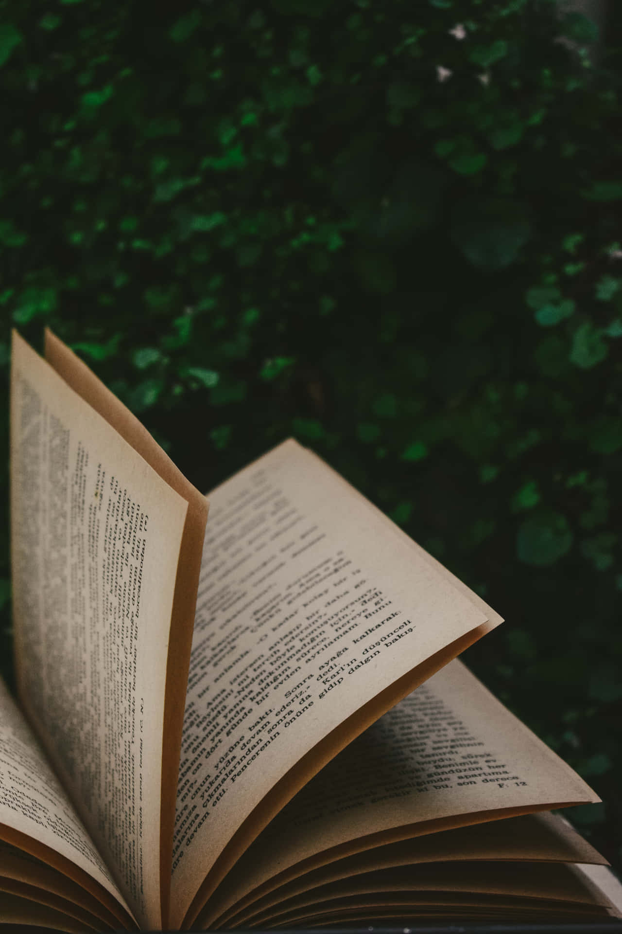 image article de blog Comment aider à l'apprentissage de la lecture ?