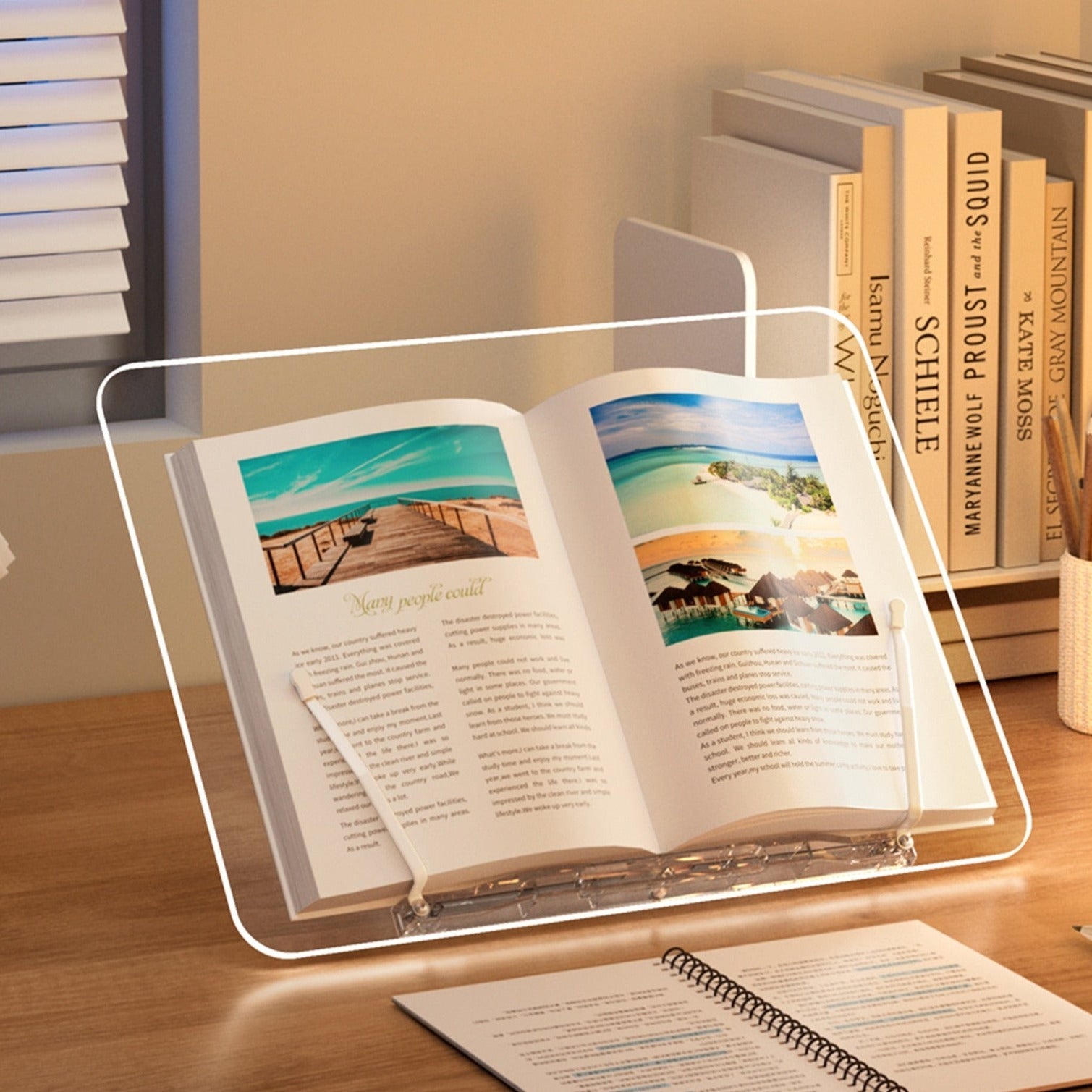 porte-livre-professionnel-1-porte-livre