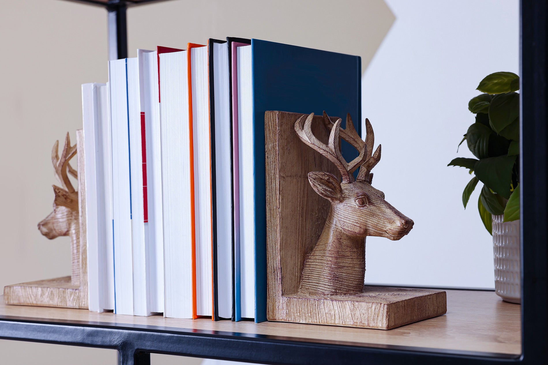 SERRE-LIVRE-CERF-DESIGN-COLLECTION-photo