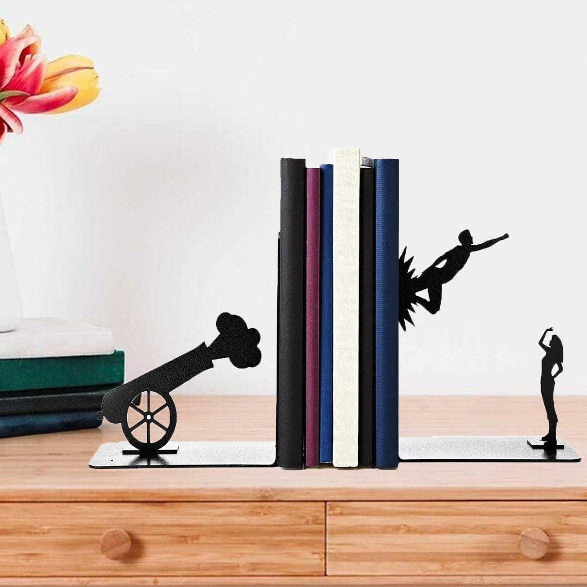 Serre-Livre-Ombre-Canon1serre-livres3256804189609248-Gun