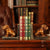 image article de blog Serre-livre : l'allié déco et pratique pour vos étagères de bibliothèques
